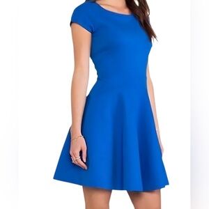 Diane von Furstenberg DVF Delyse Blue Fit and Flare Dress P S